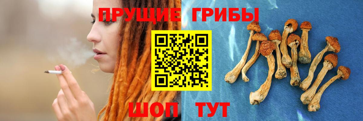 Галлюциногенные грибы ЛСД Торжок