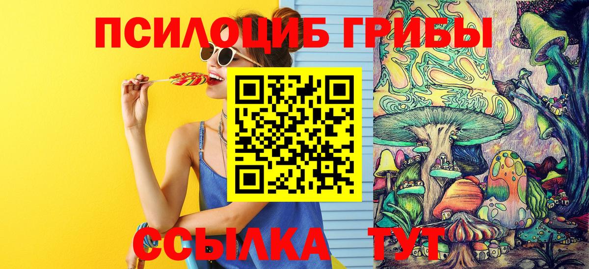 Торжок  Псилоцибиновые грибы Psilocybe  Галлюциногенные грибы мицелий  Вход с VPN 